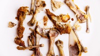 Hobi Makan Sumsum Tulang Sudah Ada Sejak 4 Juta Tahun Silam