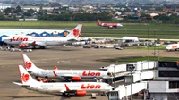 433 Penerbangan di Pekanbaru Dibatalkan karena Tiket Mahal