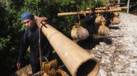 Longsor Cisolok: Belajar Mengelola Hutan dari Warga Kasepuhan