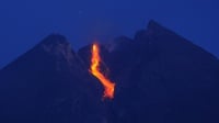Pro & Kontra Fakta Sejarah Erupsi Gunung Merapi Tahun 1006