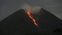Gunung Merapi Tercatat Dua Kali Keluarkan Guguran Lava Hingga Kamis