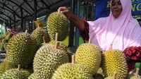 Waktu yang Tepat untuk Menanam dan Memanen Durian