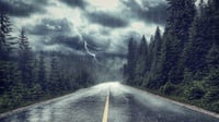 Hujan Angin Jogja Hari Ini: Pohon Tumbang Timpa Mobil hingga Motor