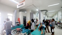 Sudah 813 Warga Jakarta Terserang DBD, Dinkes DKI: Masih Aman