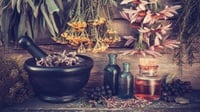 Sejarah Obat Herbal Era Kolonial & Mengapa Ia Dianggap Terbelakang