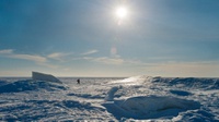 Mengapa Medan Magnet di Kutub Utara Bergeser Begitu Cepat?