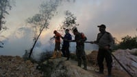 Kementerian LHK Tetapkan Status Siaga Darurat Karhutla di Riau