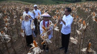 Gelar Bapak Pembangunan Desa untuk Jokowi Dinilai Sah & Tak Masalah
