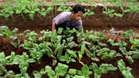 Syarat Media Tanam Organik dan Bahan-Bahan yang Diperlukan