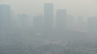 Warga Jakarta Memang Butuh Aplikasi Khusus Pemantau Kualitas Udara