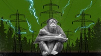 Nasib Orangutan Tapanuli Disengat PLTA Batang Toru