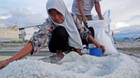 Susi Tuding Impor Garam Bocor, Kemenko Maritim: Ada Datanya Gak?