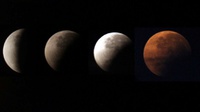 Gerhana Bulan Sebagian 19 November 2021: Cara Lihat, Fase dan Jenis
