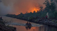 Sejarah Kebakaran Hutan & Lahan di Indonesia Terparah Tahun 1997