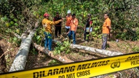 Komisi VII Nilai Pohon Sengon Bukan Penyebab Listrik Padam