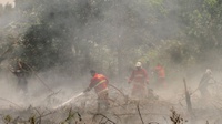Satgas Karhutla Evaluasi Penanganan Perkara Pemadaman Api