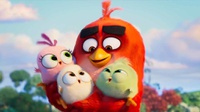 Sinopsis The Angry Birds Movie 2, Rilis 16 Agustus di Indonesia