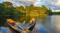 Kebakaran di Hutan Amazon: Bukti Bahayanya Populisme Sayap Kanan