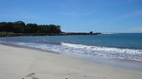 Wisatawan yang Terseret Ombak di Pantai Santolo Ditemukan Tewas
