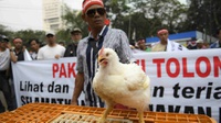 Harga Ayam Kembali Jatuh, Peternak Geruduk Kantor Darmin Nasution