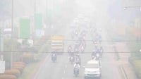 3 Penyakit Akibat Kabut Asap Kebakaran Hutan di Kalimantan-Sumatera