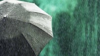Prakiraan Cuaca BMKG: Hujan & Angin di Jakarta, Bandung Hari Ini