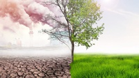 Bappenas: Perubahan Iklim Berpotensi Merugikan Ekonomi RI Rp544 T