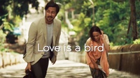 Sinopsis Film Indonesia Love is A Bird, Rilis di Bioskop Hari Ini