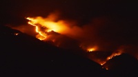 Penyebab Kebakaran Gunung Lawu dan Kondisi Saat Ini