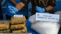 Buruknya Konsep War on Drugs serta Lagu TikTok ala Jokowi & BNN