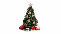 Sejarah Pohon Cemara Dijadikan Simbol Natal oleh Umat Kristen