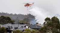 Kembang Api Tahun Baru di Sydney Digelar Meski Ada Kebakaran Hutan