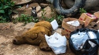 Pemkot Bekasi Sebut Telah Angkut 6.000 Ton Sampah Sisa Banjir