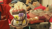 Tema Hari Donor Darah Sedunia 2023 dan Sejarah Peringatannya