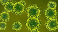 Kasus Virus Corona Pertama dari Cina Terjadi di Amerika Serikat