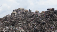 Masalah Sampah di Jogja: TPST Kelebihan Kapasitas Terus Dipaksakan