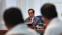 Respons Jokowi soal Penjemputan WNI di Kapal Diamond Princess