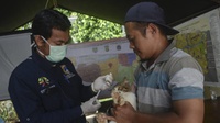Jadwal Vaksinasi Rabies Gratis di DKI Jakarta & Syarat Mengikutinya