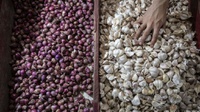 Syarat Impor Bawang Putih & Bombai Longgar, Kemendag Abaikan RIPH