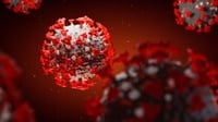 Update Deltacorona: Ditemukan 32 Mutasi Virus di Tubuh Wanita India