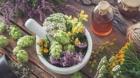 Apa Saja Tanaman Herbal yang Bantu Cegah Corona dengan Sistem Imun?