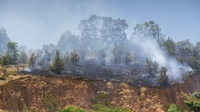 Kebakaran Landa 27 Hektare Lahan di Rokan Hilir, Tersebar di 4 Desa
