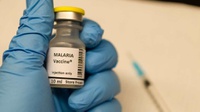 Terang-Redup Program Pemberantasan Malaria di Era Sukarno