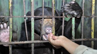 Kondisi Terkini Medan Zoo & Masalahnya, DPRD: Ditutup Bukan Opsi