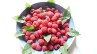 Manfaat Raspberry: Cegah Penyakit Jantung, Kanker, hingga Diabetes