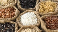 Manfaat Makan Nasi, Jenis Beras, dan Kandungan Nutrisinya