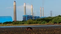 Energi Fosil Sumbang 85% Listrik RI per Mei 2020, Terbanyak PLTU