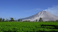 Gunung Sinabung Erupsi Tinggi Kolom Abu 2.000 Meter Sabtu Dini Hari