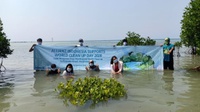 Allianz Gelar Tur Virtual Tanam Mangrove Sambut World Cleanup Day