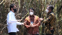 Jokowi Pilih Lumbung Pangan di Sumut Ditanami Bawang & Kentang